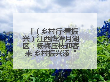 （乡村行·看振兴）江西鹰潭月湖区：杨梅压枝迎客来 乡村振兴添“梅”景