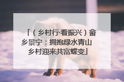 （乡村行·看振兴）畲乡景宁：拥抱绿水青山 乡村迎来共富蝶变