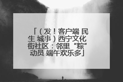 （发！客户端 民生 城事）西宁文化街社区：邻里“粽”动员 端午欢乐多