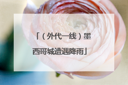 （外代一线）墨西哥城遭遇降雨