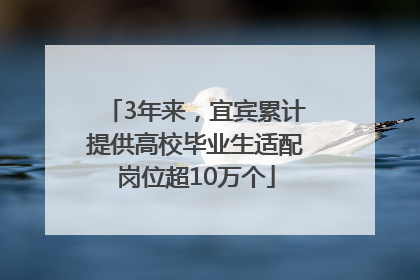 3年来，宜宾累计提供高校毕业生适配岗位超10万个
