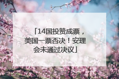 14国投赞成票，美国一票否决！安理会未通过决议