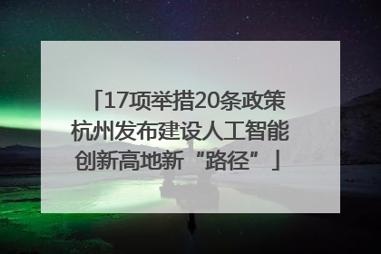 17项举措20条政策 杭州发布建设人工智能创新高地新“路径”