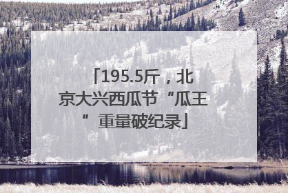 195.5斤，北京大兴西瓜节“瓜王”重量破纪录