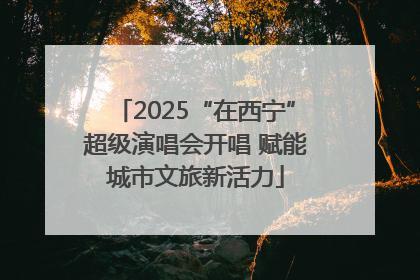 2025“在西宁”超级演唱会开唱 赋能城市文旅新活力