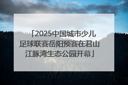 2025中国城市少儿足球联赛岳阳预赛在君山江豚湾生态公园开幕