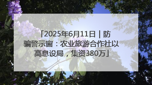 2025年6月11日｜防骗警示窗：农业旅游合作社以高息设局，集资380万