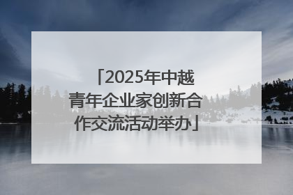 2025年中越青年企业家创新合作交流活动举办