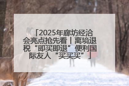 2025年廊坊经洽会亮点抢先看丨离境退税“即买即退”便利国际友人“买买买”
