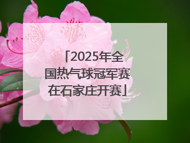 2025年全国热气球冠军赛在石家庄开赛