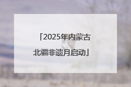 2025年内蒙古北疆非遗月启动