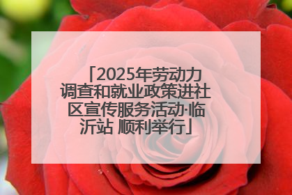 2025年劳动力调查和就业政策进社区宣传服务活动·临沂站 顺利举行