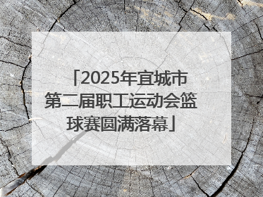 2025年宜城市第二届职工运动会篮球赛圆满落幕