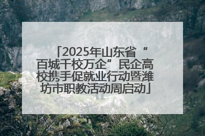 2025年山东省“百城千校万企”民企高校携手促就业行动暨潍坊市职教活动周启动