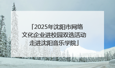 2025年沈阳市网络文化企业进校园双选活动走进沈阳音乐学院