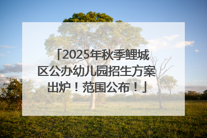 2025年秋季鲤城区公办幼儿园招生方案出炉！范围公布！