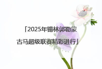 2025年锡林郭勒蒙古马超级联赛精彩进行
