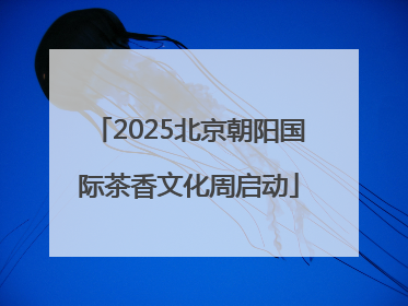 2025北京朝阳国际茶香文化周启动