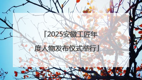 2025安徽工匠年度人物发布仪式举行