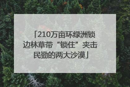 210万亩环绿洲锁边林草带“锁住”夹击民勤的两大沙漠
