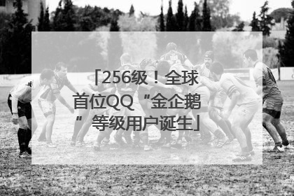 256级！全球首位QQ“金企鹅”等级用户诞生