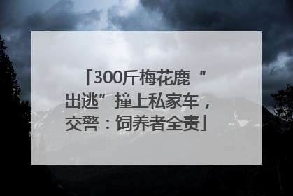 300斤梅花鹿“出逃”撞上私家车，交警：饲养者全责