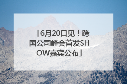 6月20日见！跨国公司峰会首发SHOW嘉宾公布