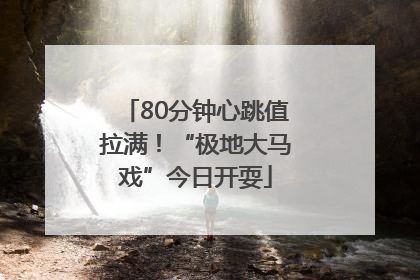 80分钟心跳值拉满！“极地大马戏”今日开耍