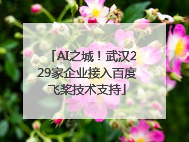 AI之城！武汉229家企业接入百度飞桨技术支持