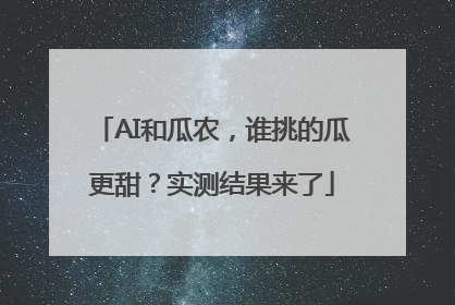 AI和瓜农，谁挑的瓜更甜？实测结果来了