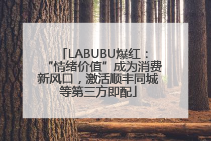 LABUBU爆红：“情绪价值”成为消费新风口，激活顺丰同城等第三方即配