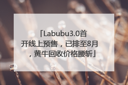 Labubu3.0首开线上预售，已排至8月，黄牛回收价格腰斩