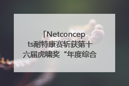 Netconcepts耐特康赛斩获第十六届虎啸奖“年度综合服务商”大奖