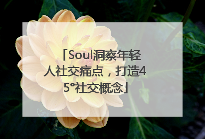 Soul洞察年轻人社交痛点，打造45°社交概念