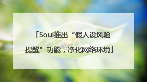 Soul推出“假人设风险提醒”功能，净化网络环境
