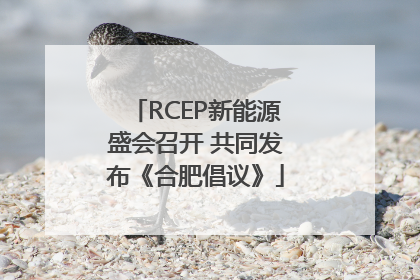 RCEP新能源盛会召开 共同发布《合肥倡议》