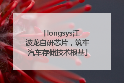 longsys江波龙自研芯片，筑牢汽车存储技术根基